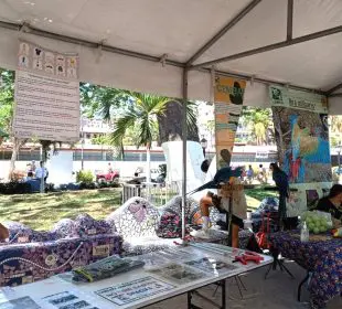 Feria del medio ambiente en parque Lázaro Cárdenas