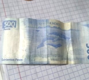 Billete falso en una libreta