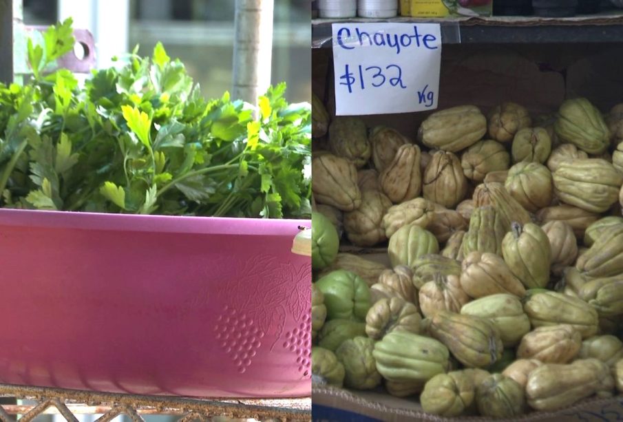 Cilantro y chayote con sus precios