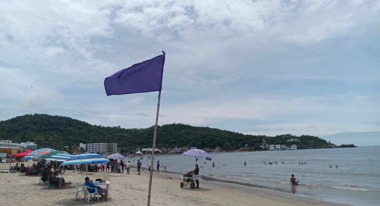 Alerta en Bucerías Izan bandera morada por cocodrilos