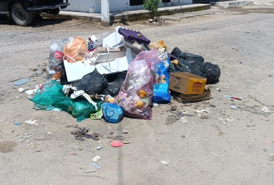 Basura tirada