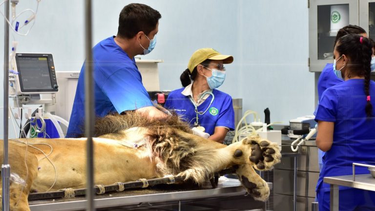 El Centro Integral de Medicina y Bienestar Animal fue inaugurado