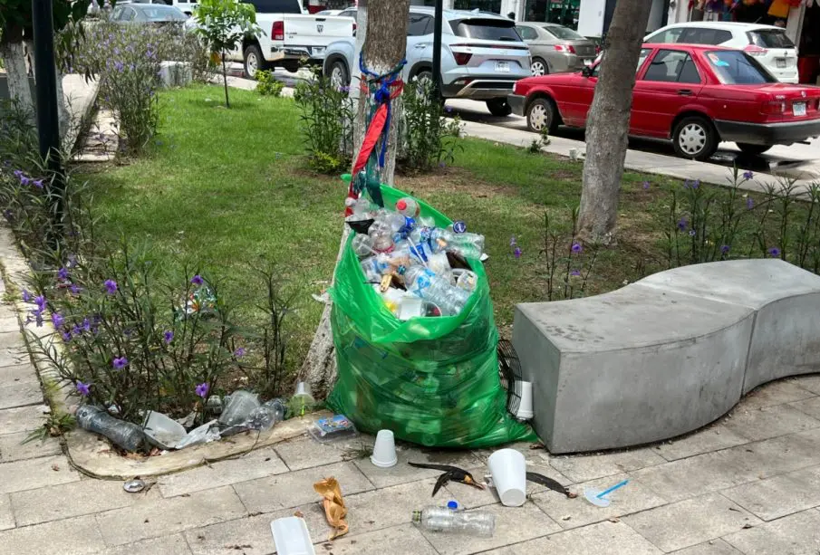 Basura en parque.
