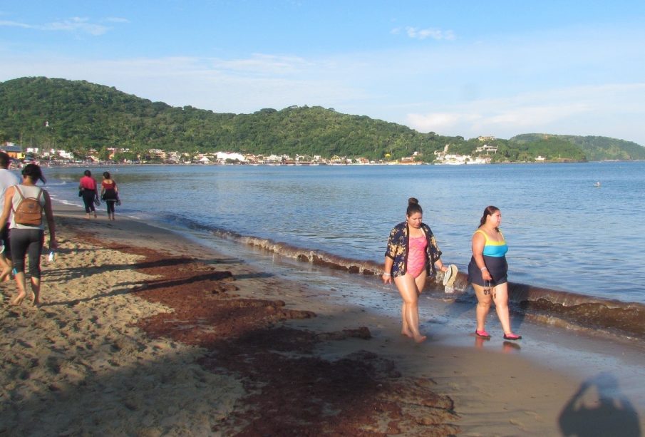 Cerraron playa de Rincón de Guayabitos, bandera roja