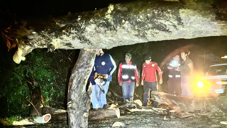 Tráfico desquiciado entre Guadalajara y Puerto Vallarta (VIDEO)