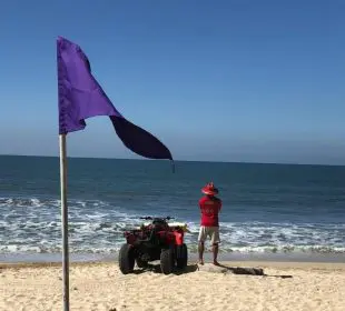 Bandera morada en playa