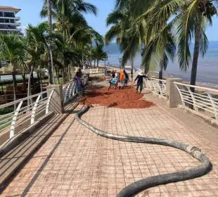 Puente en avenida Federación.