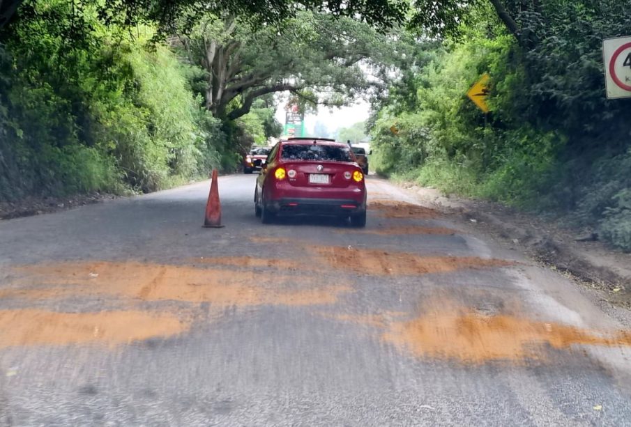 Ciudadanos Tapan baches con aserrín federal 200 Compostela