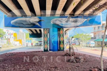 Mural del puente desnivel en Mezcales será inaugurado