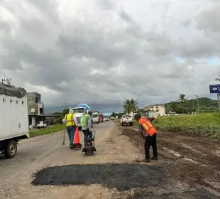Reparan bache donde vecinos habían sembrado una planta