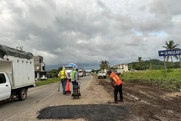 Reparan bache donde vecinos habían sembrado una planta