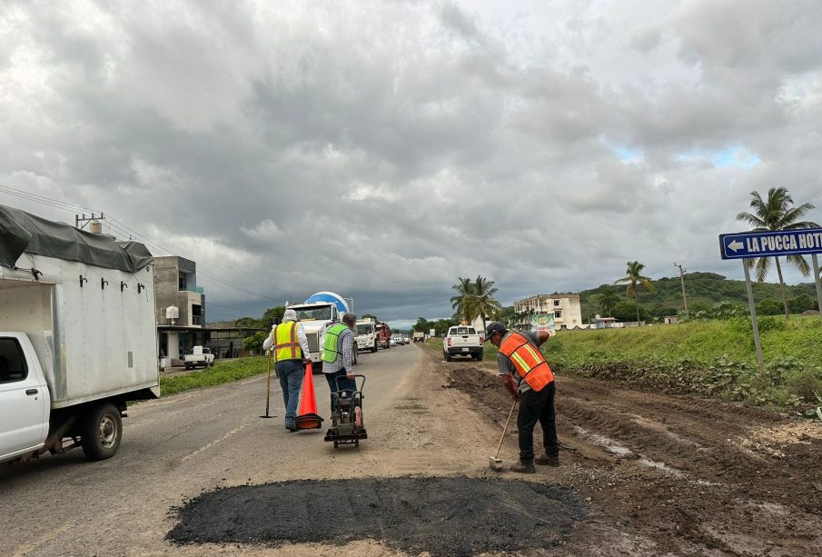 Reparan bache donde vecinos habían sembrado una planta