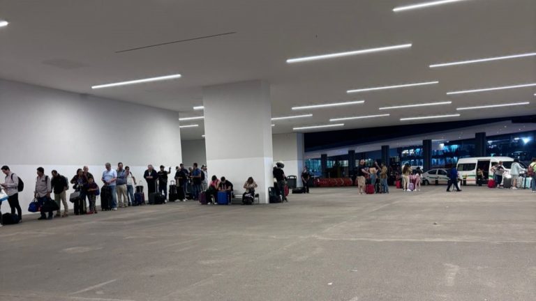 Usuarios del Aeropuerto Internacional de Guadalajara, taxis