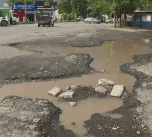 Baches