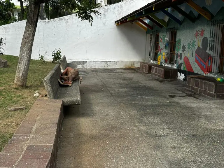 Parque Hidalgo. 