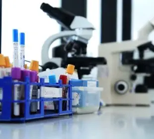 Análisis científicos de la Secretaría de Salud de Nayarit sobre el dengue