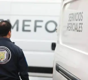SEMEFO