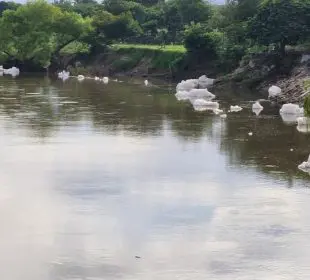 Aparece espuma por posible contaminación del rio Ameca