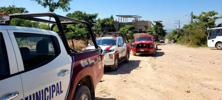Hallan un cadáver colgado en un árbol en un predio de El Pitillal