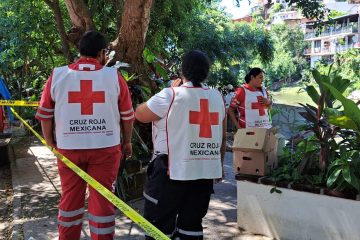 Elementos de la Cruz Roja