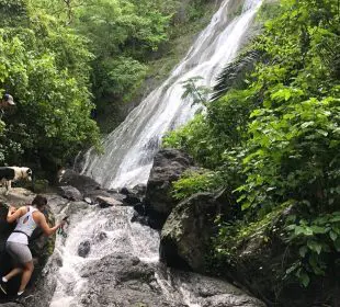 Parque ecológico en Puerto Vallarta