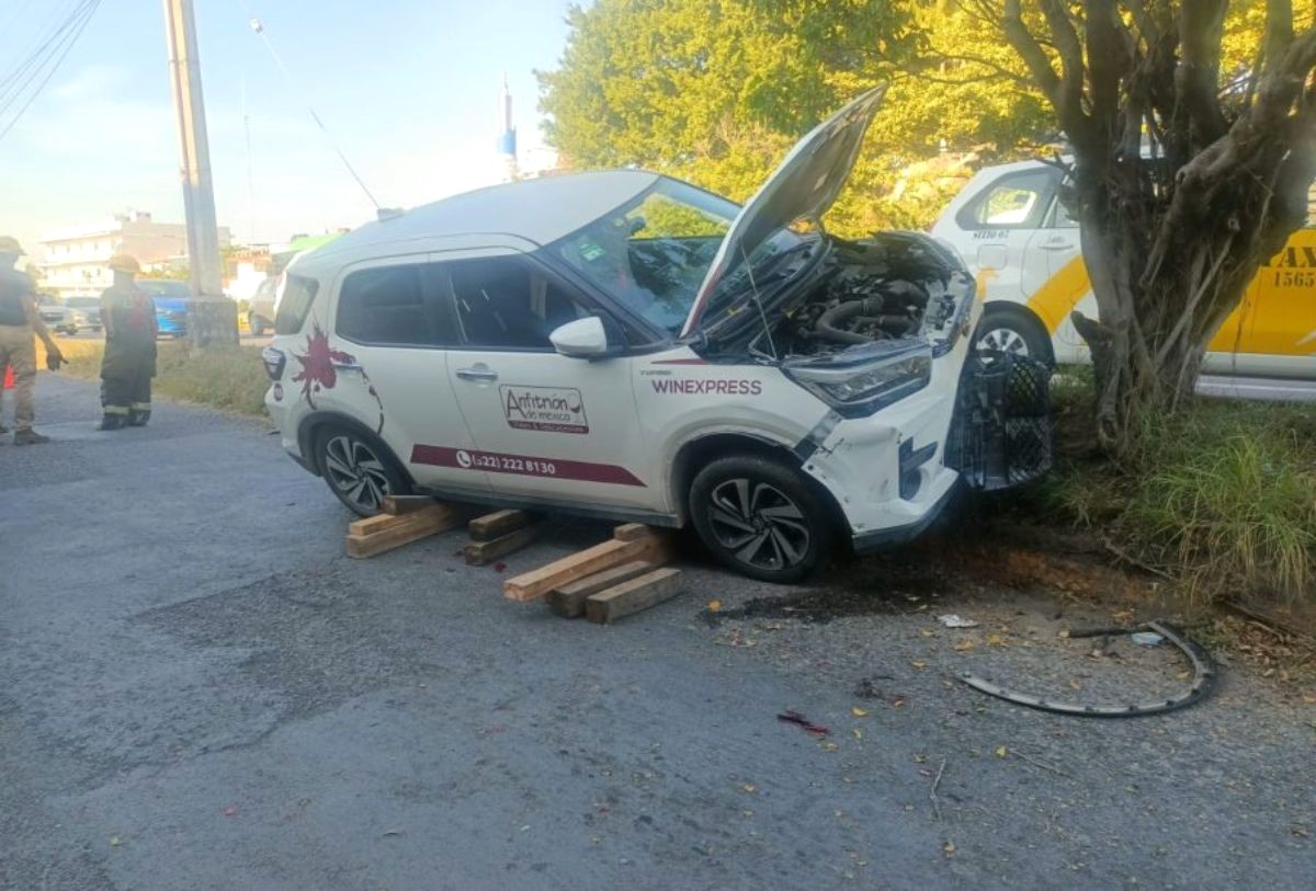 Vialidad en Vallarta: Conductor se impacta contra un árbol