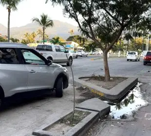 Jardinera seca en Vallarta