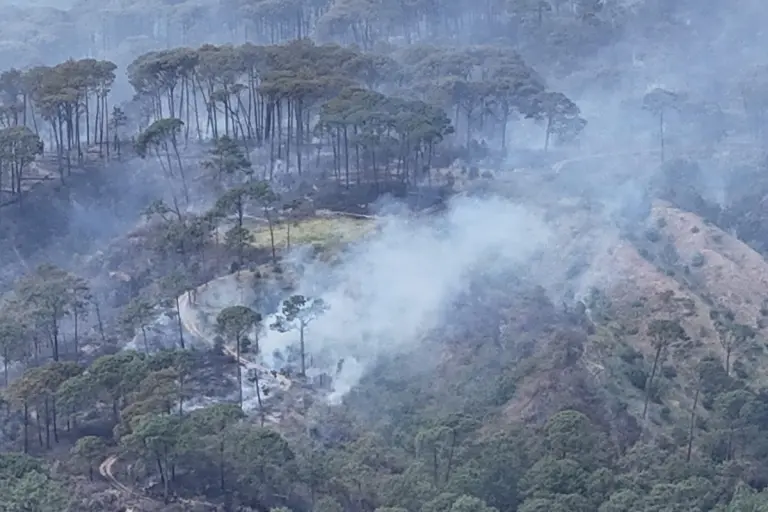 Cerro de San Juan, Incendio Controlado al 50 en Tepic