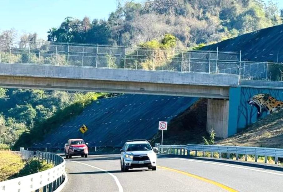 Autopista Guadalajara-Tepic