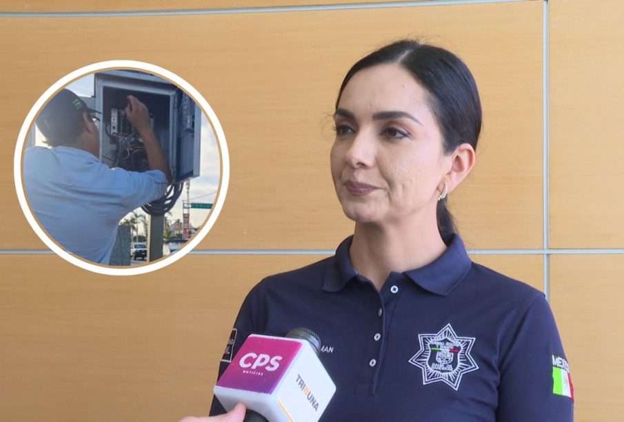 Videovigilancia en Bahía de Banderas