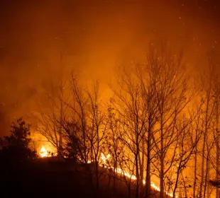Incendio Corea del Sur
