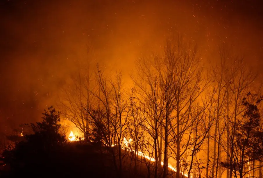 Incendio Corea del Sur