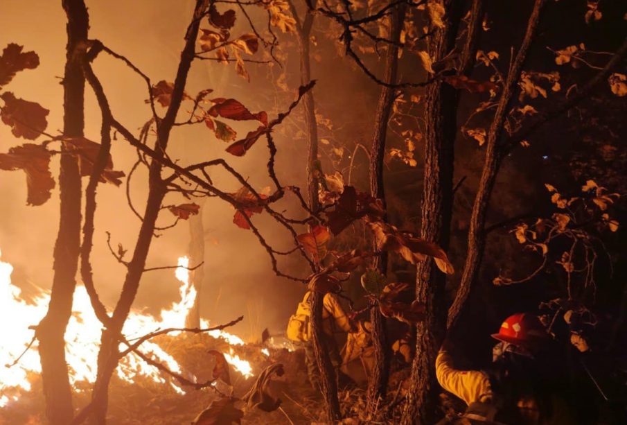 Incendio en Bosque la Primavera.