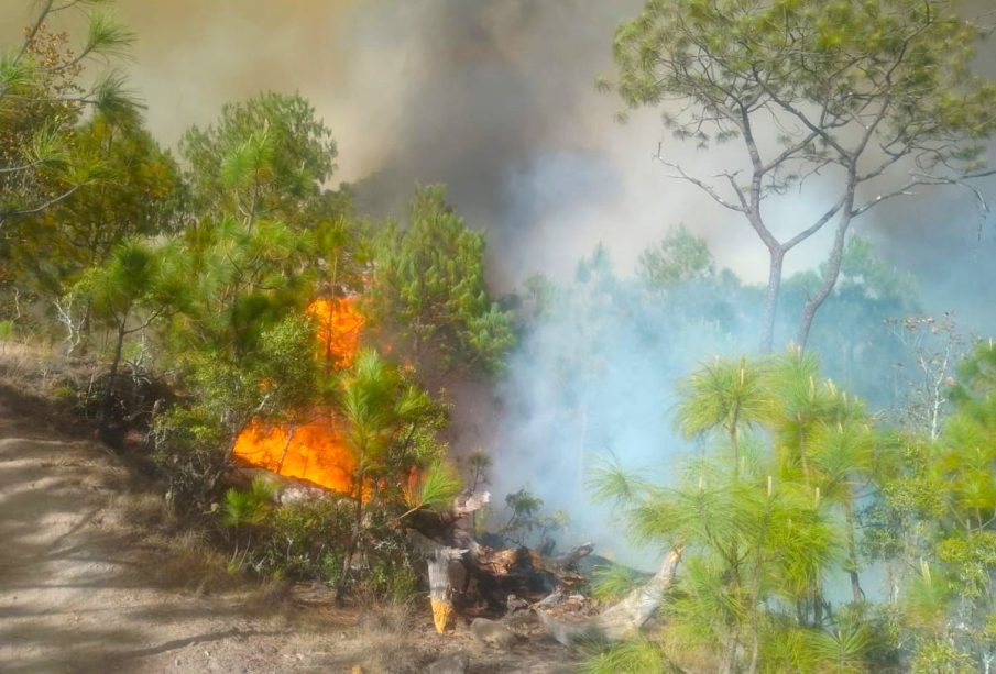Incendio forestal en Jalisco