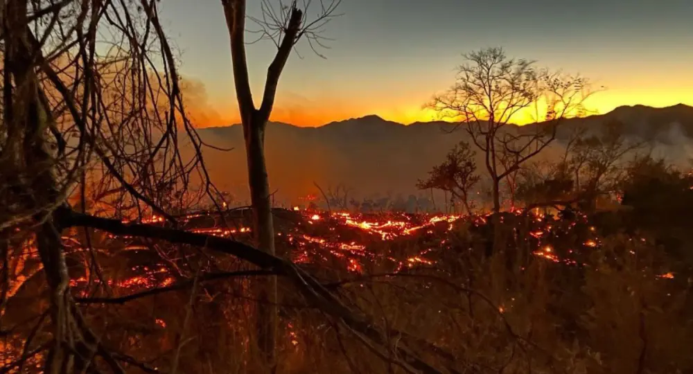 Incendios forestales afectan a Tomatlán y Cabo Corrientes (Video)