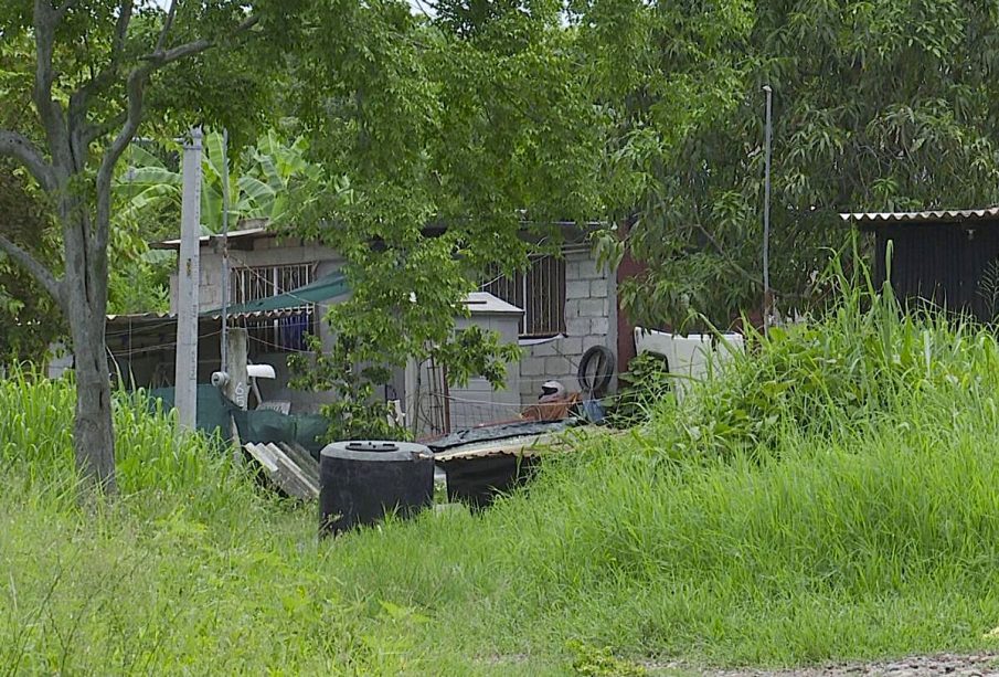 Predio sin título de propiedad del Ejido Vallarta