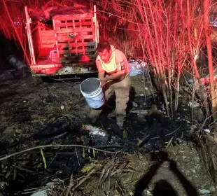 Incendios en Bahía de Banderas.