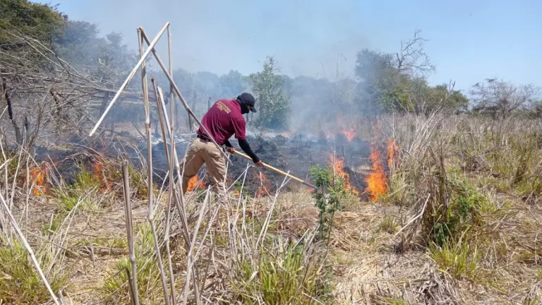Incendios en Bahía de Banderas.