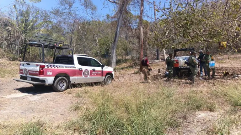 Incendios en Bahía de Banderas.