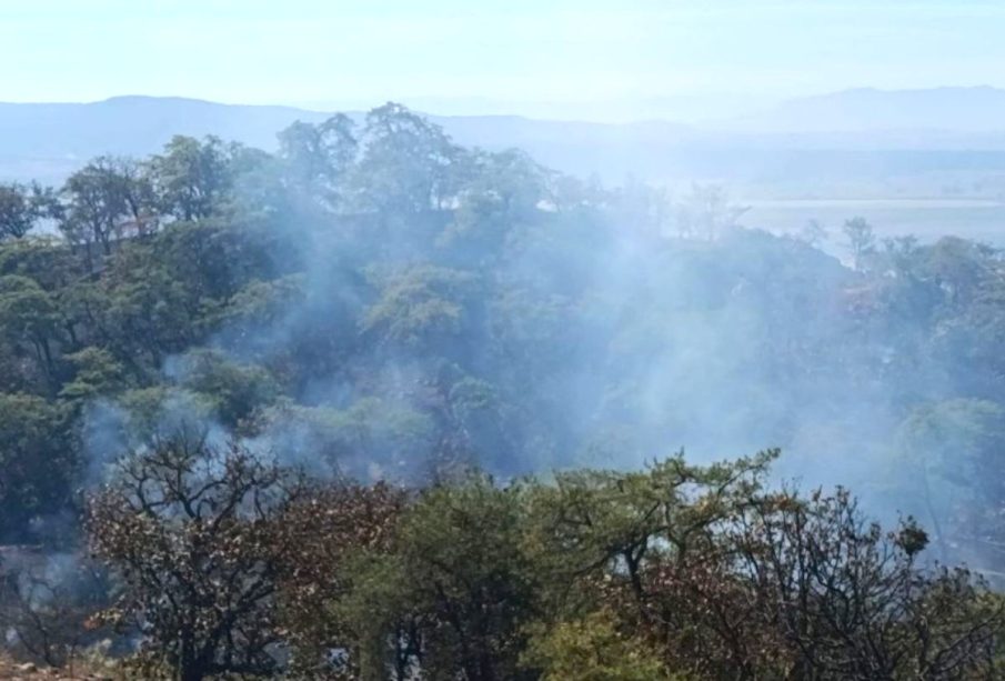 Incendio forestal en Magdalena y Tequila, Jalisco