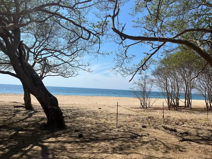 Cambiarán acceso a playa Malpaso