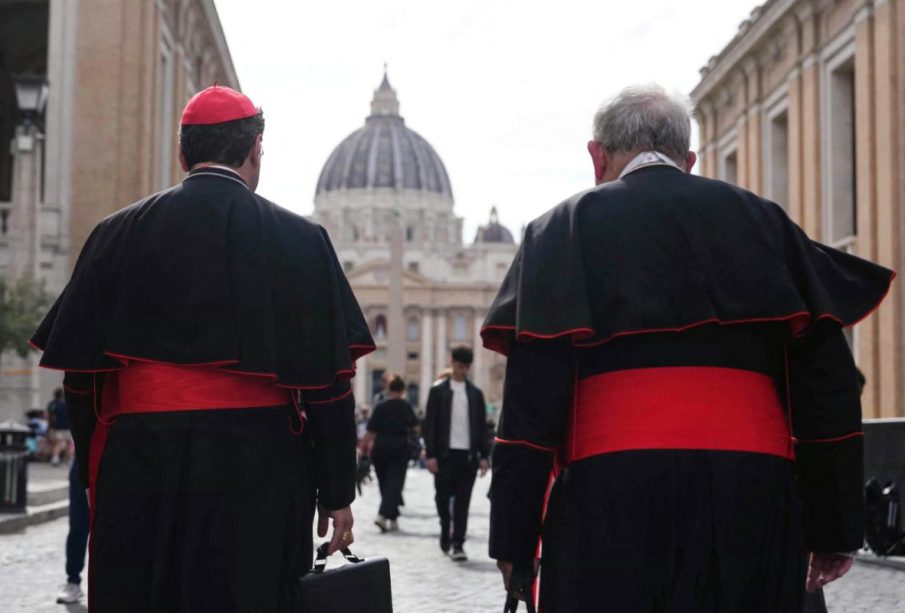 Cardenales de espaldas caminando