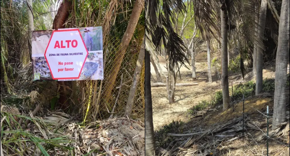 Denuncian cierre de plaza Malpaso