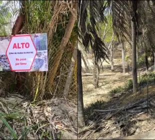 Denuncian cierre de plaza Malpaso
