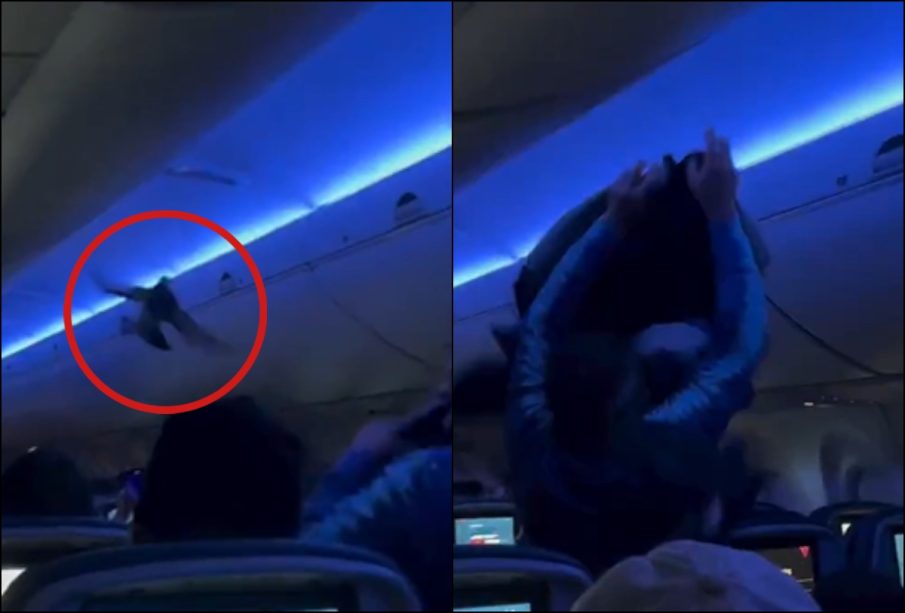 Palomas retrasan vuelo