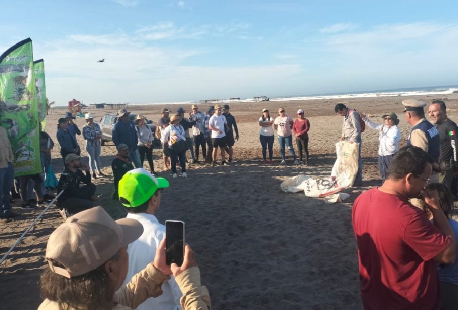 Basura amenaza ecosistemas marinos en Nayarit