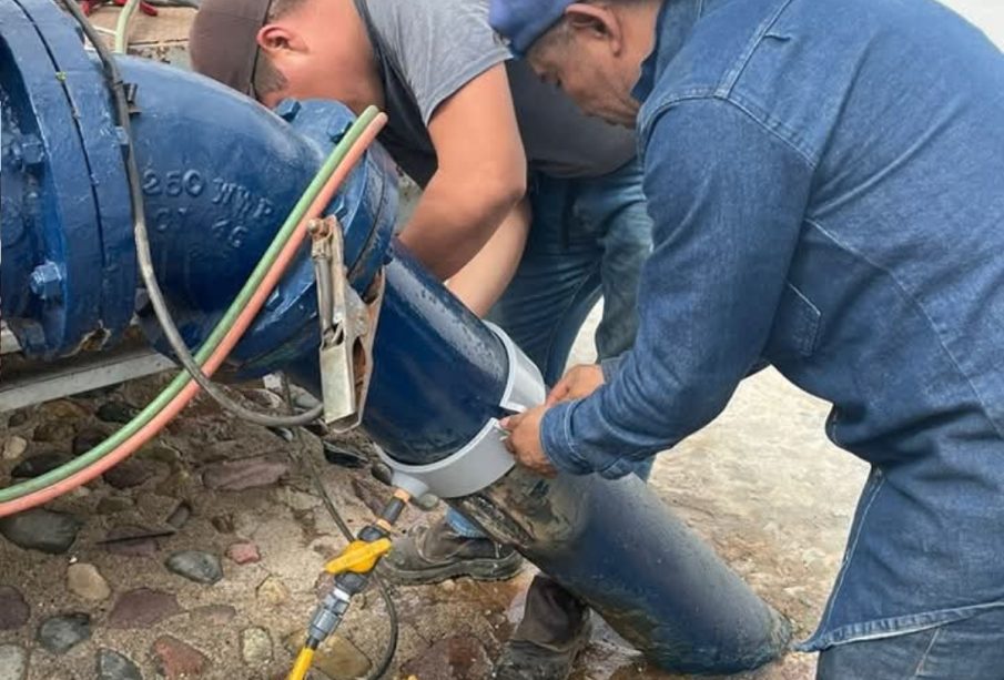 Seapal Vallarta
