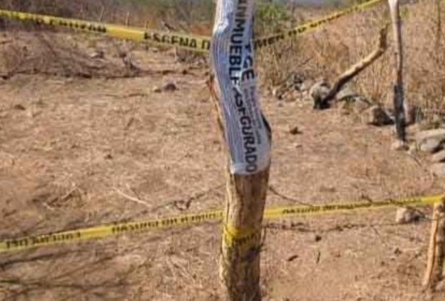 Fosa clandestina en Colima, un año después informan de 44 restos