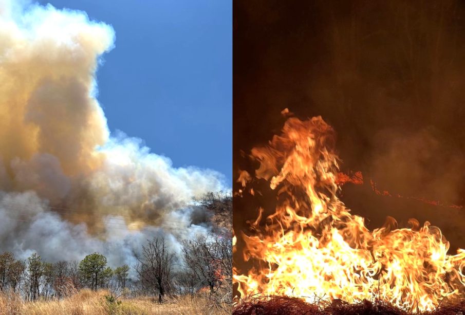 Incendio forestal en Mascota, Jalisco