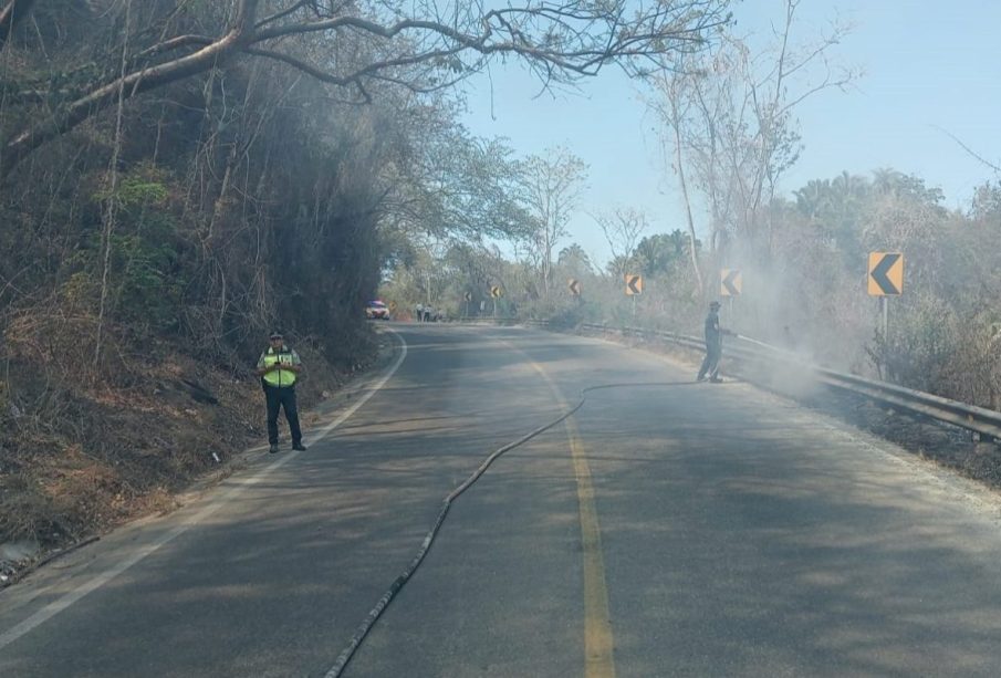 Incendios forestales junto a carreteras de Nayarit son controlados